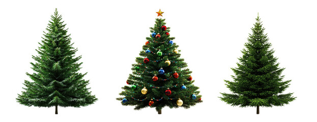 Fototapeta premium Christmas Trees in Various Styles for Festive Holiday Decor and Celebration PNG Icon on transparent background