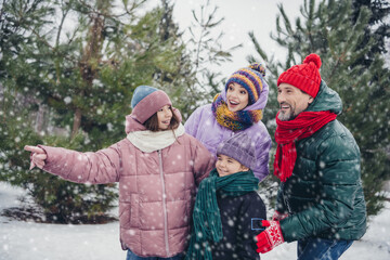 Photo of excited friendly little child wife husband dressed coats choosing x-mas tree outdoors urban forest park