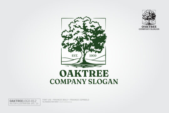 Vector logo template with tree and root theme that symbolizes shade, life, growth, protection,and integrity of nature suitable for foundation,ecology industry, or nature conservation agency.