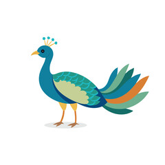 Peacock animal isolated flat vector illustration on white background