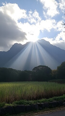 Fototapeta premium Sun rays breaking through clouds