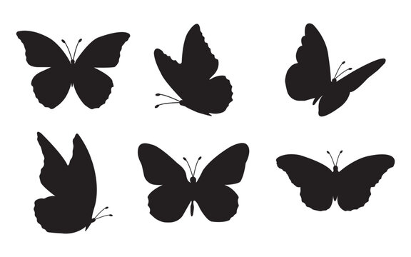 Flying butterflies icon symbols black silhouette vector set. Various butterflies black shapes set. Design element for print, icon, tattoo. fireflies and butterflies icons isolated on white background.