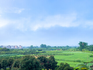 rural landscape in China, farmland