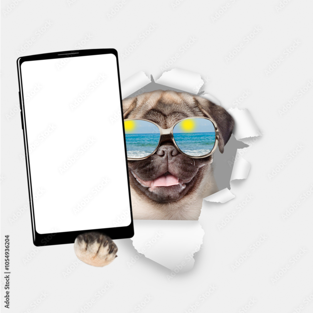 Poster funny pug puppy wearing mirrored sunglasses holds big smartphone with white blank screen, showing cl