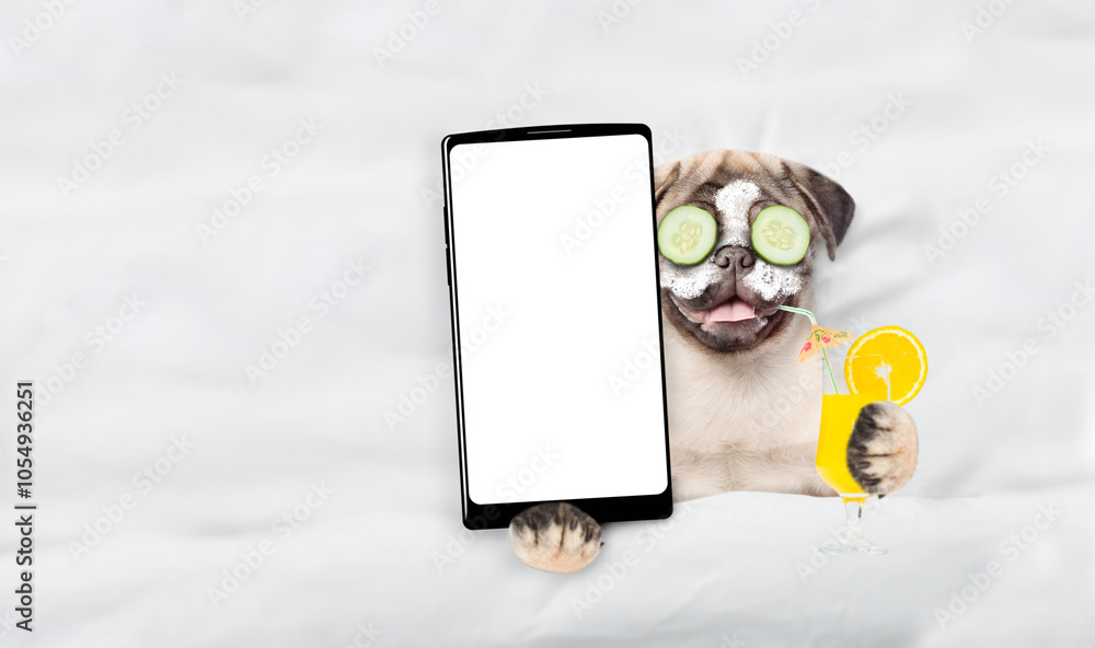Aufkleber Happy Pug puppy with a pieces of cucumber on it eyes relaxing on the bed at home and showing big smartphone with white screen in it paw. Top down view. Empty space for text