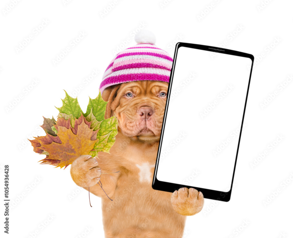 Aufkleber unhappy mastiff puppy wearing warm hat holds dry colorful leaves and big smartphone with white blank