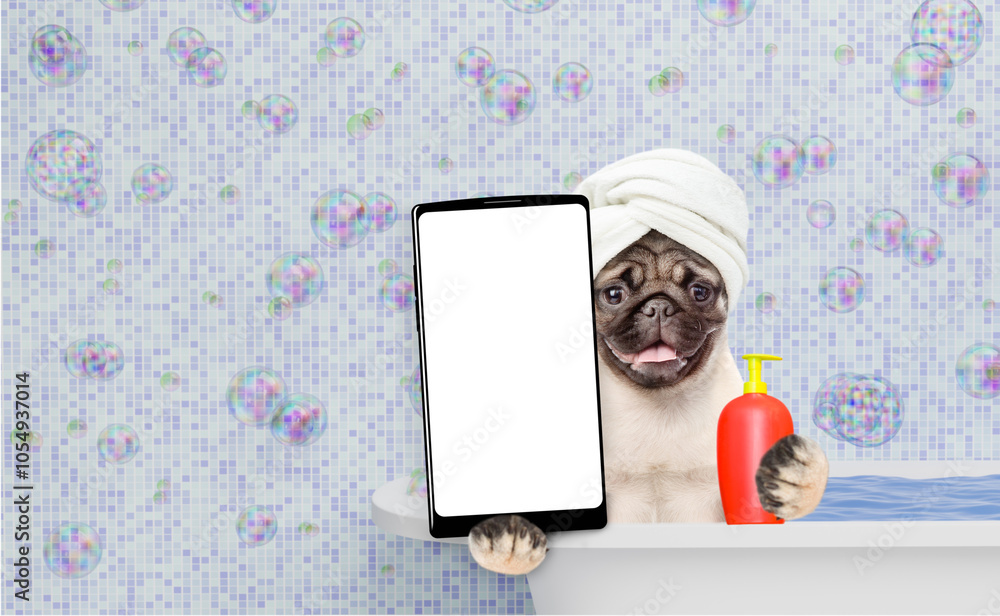 Fototapete funny pug puppy wrapped with towel takes the bath shows big smartphone with white blank screen in it