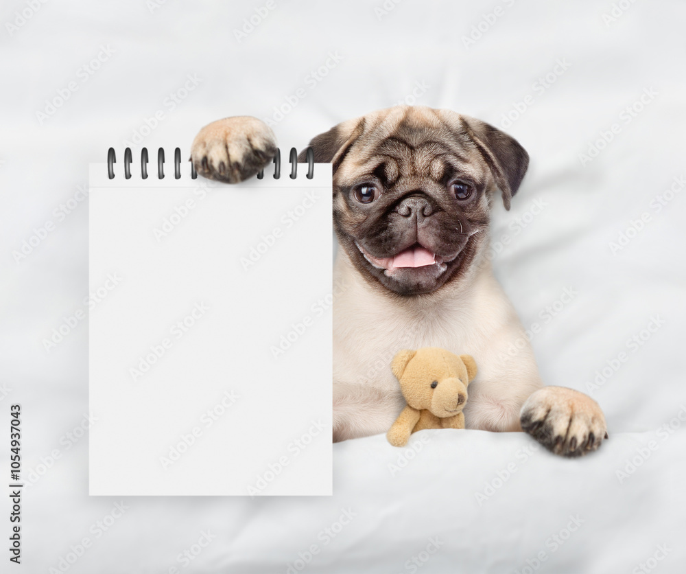 Aufkleber Pug puppy lying with favorite toy bear on a bed at home and showing empty list in it paw. Top down view. Empty space for text