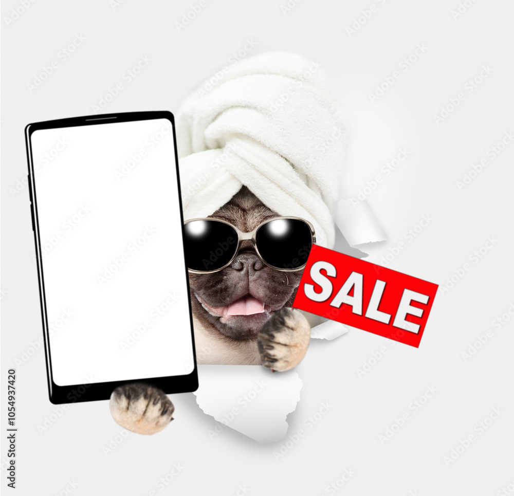 Poster cute pug puppy wearing sunglasses with towel on it head holding big smartphone with white blank scre