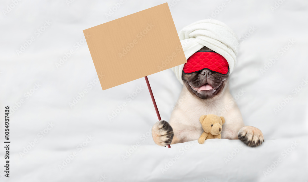 Poster pug puppy wearing sleeping mask and towel sleeps with toy bear under white blanket on a bed at home 