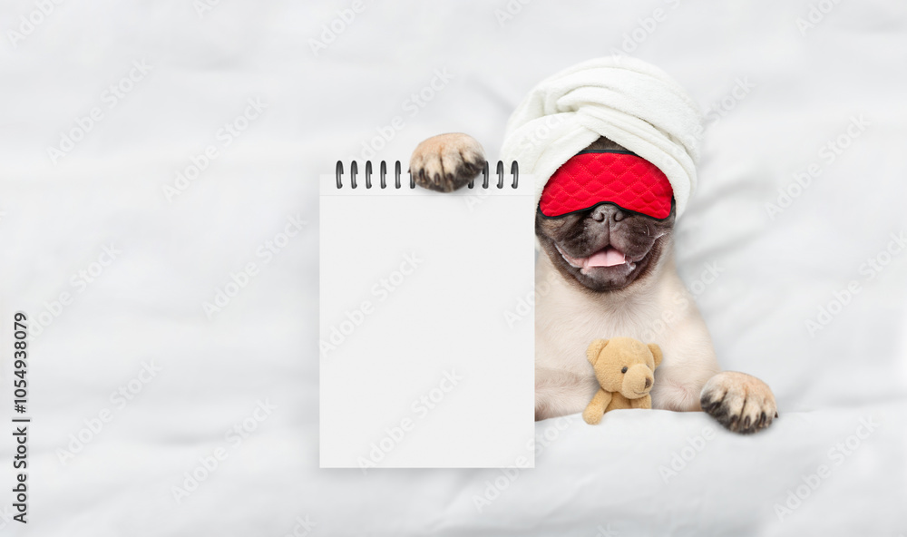 Fototapete pug puppy wearing sleeping mask lying with favorite toy bear under white blanket on a bed at home an