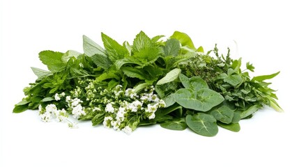 A vibrant display of wild vegetables like wild garlic, nettles, and sorrel, showcasing their natural beauty and health benefits, isolated on a white background