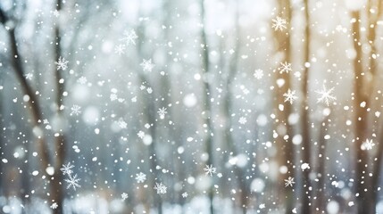 Gentle Snowflakes Falling in a Forest