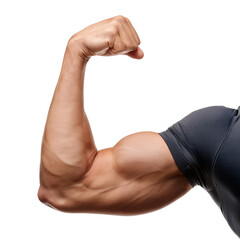 Muscular arm, white isolate background transparent background