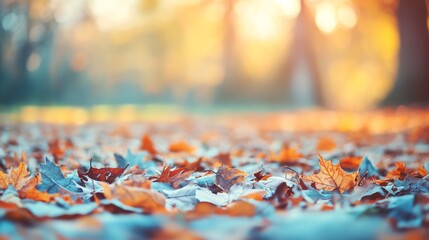Fototapeta premium Soft Focus Leaves in Gentle Fall Landscape
