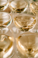 a bunch of glasses with white wine close up photo