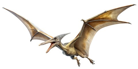 Fototapeta premium White background with pteranodon flying; Leading lines