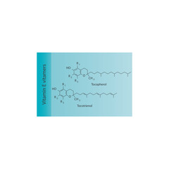 Fototapeta premium Diagram of Vitamin E vitamers - Tocopherol and Tocotrienol skeletal structure, chemical diagram.