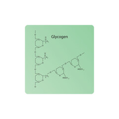 Amylose skeletal structure diagram.Polysaccharide  compound molecule scientific illustration.