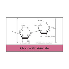 Chondroitin 4-sulfate skeletal structure diagram.Polysaccharide  compound molecule scientific illustration.