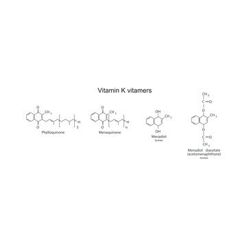 Diagram of Vitamin K vitamers - Phylloquinone, Menaquinone, Menadiol, Menadiol diacetate - skeletal chemical structure, scientific illustration.