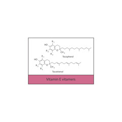 Diagram of Vitamin E vitamers - Tocopherol and Tocotrienol skeletal structure, chemical diagram.