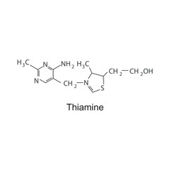 Thiamine skeletal structure diagram.Vitamin B1 compound molecule scientific illustration.