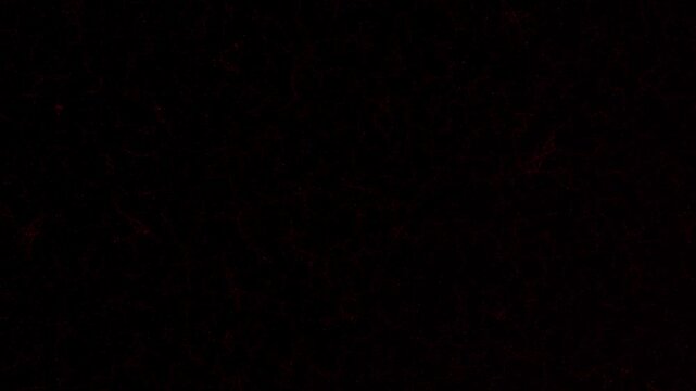 minimal dark background with subtle red texture, ideal for use as a backdrop in design projects or presentations, adding depth without distraction