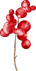 Watercolor Red Berries Elements