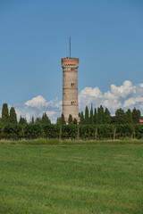 Obraz premium Italian tower, vineyard plantations. The famous round tower of San Martino della Battaglia on Lake Garda in Italy against the backdrop of vineyards and cypress trees.