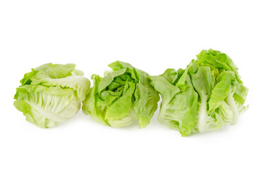 lettuce on white background