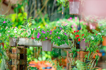 Wallpaper from the top of the mountain, overlooking the panorama, with the wind blowing all the time, fresh air, is a viewpoint that adventurers regularly visit.