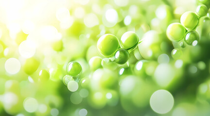 Fototapeta premium Plump Green Pea Against Bright White Background: A Symbol of Freshness and Health