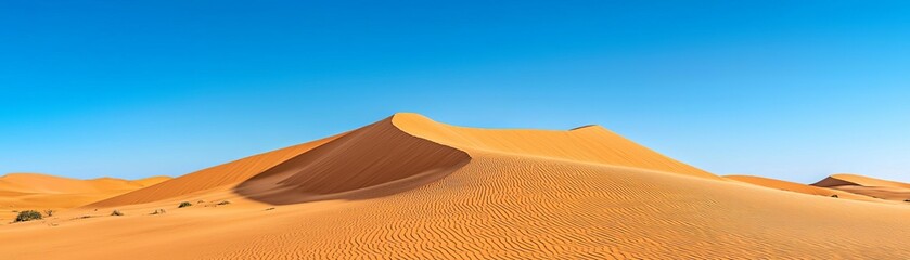 Golden sand dunes in a serene desert setting under clear blue skies