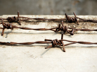 rusty barbed wire