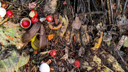 A pile of garbage with a few pieces of food and a rotten egg.