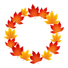 Vector illustration of colorful maple leaves frame border on transparent background