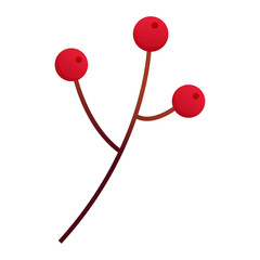 Hand drawn floral decorative elements on a white background