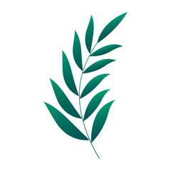 Hand drawn floral decorative elements on white