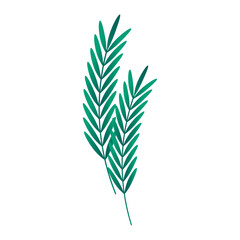 Hand drawn floral decorative elements