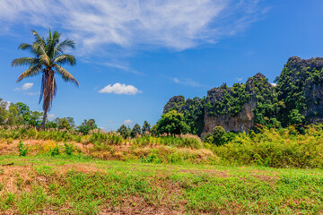 Obraz premium The natural background of the camping ground has chairs to sit and enjoy the natural view. The air is fresh and the atmosphere is surrounded by trees and big mountains.