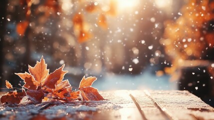 Frozen fallen leaves on wooden table top covered with thin layer of first snow. Forest at late autumn or beginning of winter. Maple leaves with soft backlight from rising sun. Winter season cozy atmos