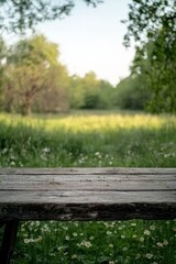 Fototapeta premium Close-up of an old wooden table with a blurred green forest in the background. Nature concept. Summertime, spring nature with a blooming wild flower meadow and trees