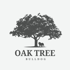 Obraz premium Vintage Logo with a large Oak Tree Silhouette and a Bulldog Dog standing under it. Suitable for nature conservation, ranching