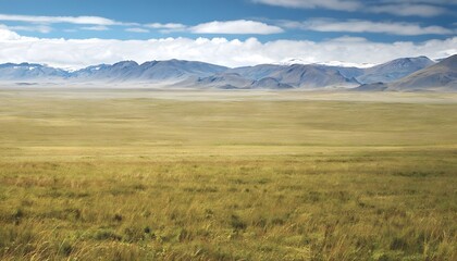 Fototapeta premium Wide Open Plains of the Patagonian Steppe