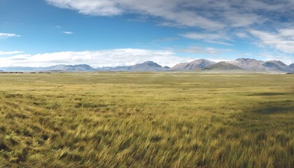 Wide Open Plains of the Patagonian Steppe