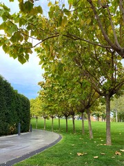 Beautiful panorama of green city Krasnodar park.