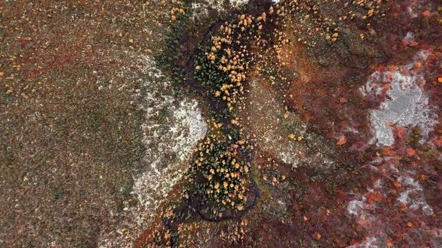 Overhead View Of Stream Along The Forest In Autumn Colors In Eagle Plains, Dempster Highway, Yukon. - aerial shot