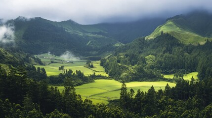 Lush green valley surrounded by mountains with dense forests and cloudy sky. Scenic nature and rural landscape concept.