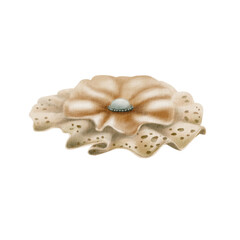 Vintage lace bow brooch with silk insert in beige with pearl and beads in the center,top view as a symbol of elegance.For decorating gift boxes women's greeting cards,scrapbooking